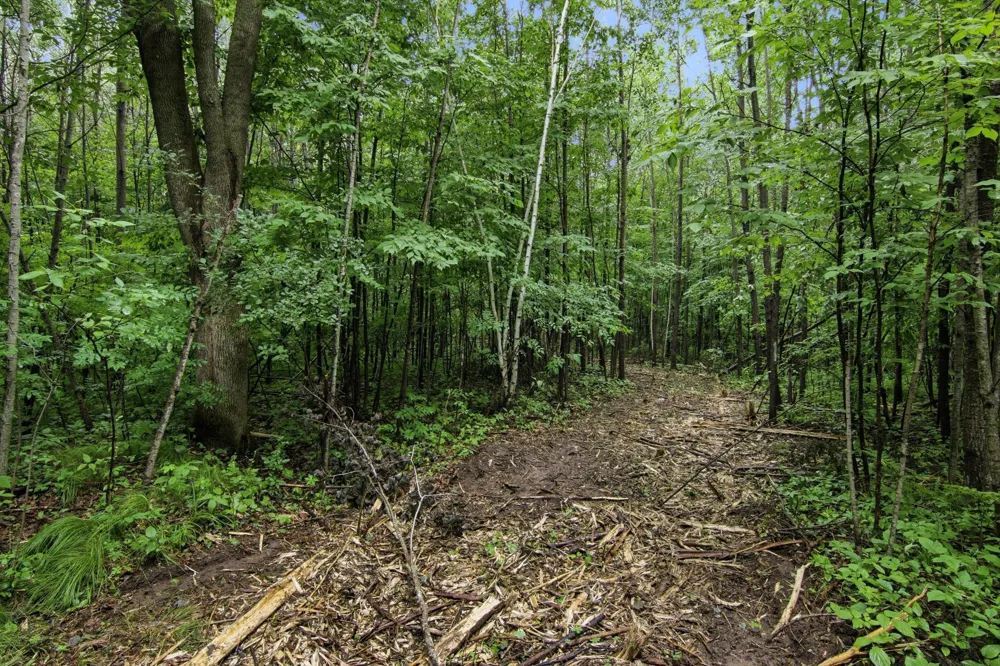 Lot 1 4th Street Clayton, WI 54004