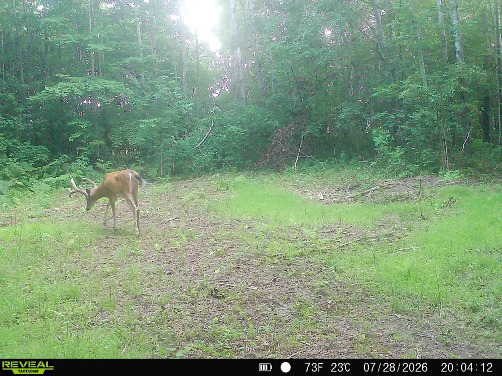 Lot 1 4th Street Clayton, WI 54004