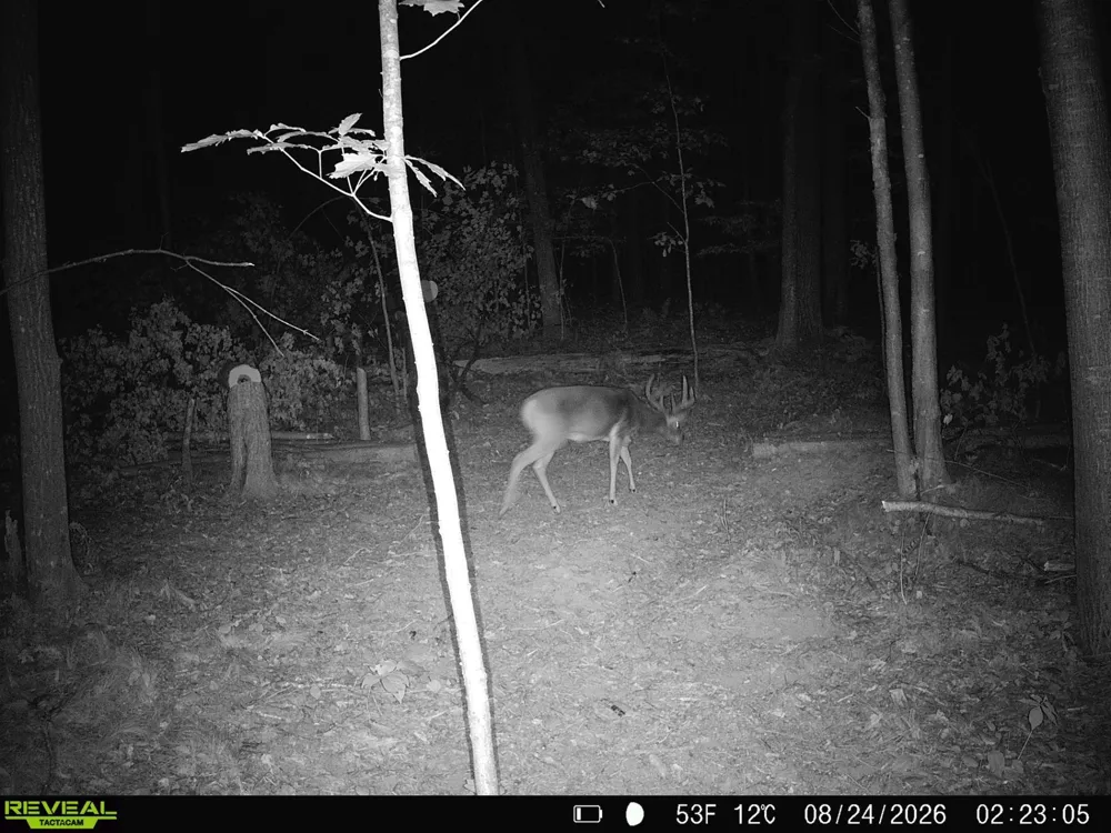 Lot 1 4th Street Clayton, WI 54004