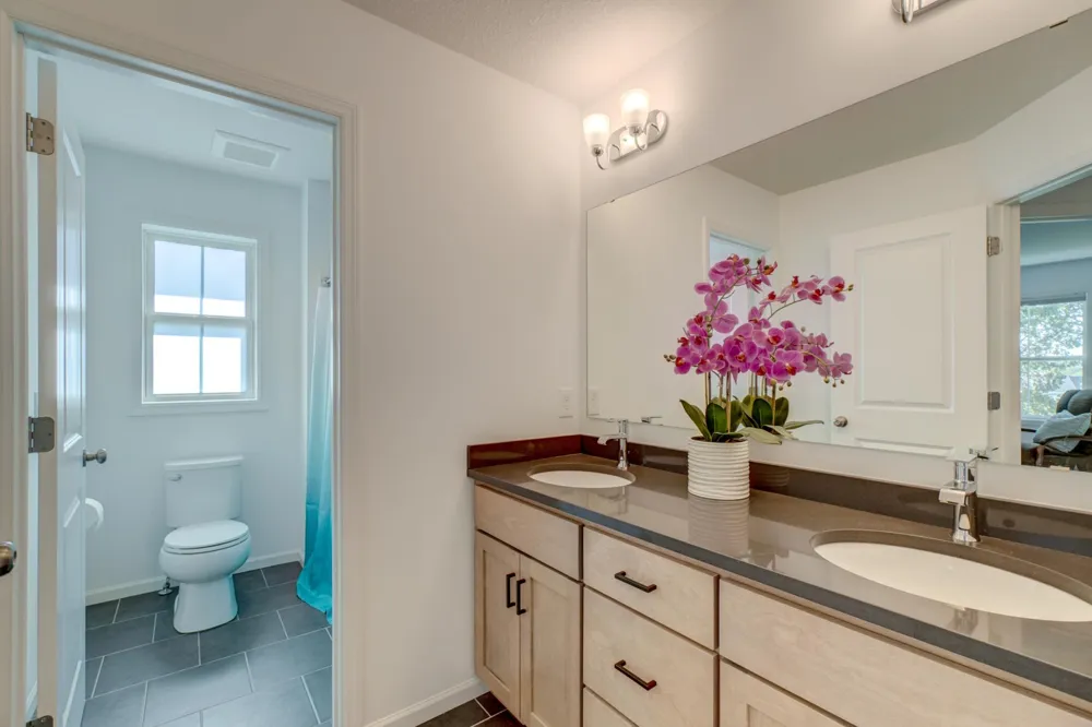 4233 Arbor Bay Woodbury, MN 55129