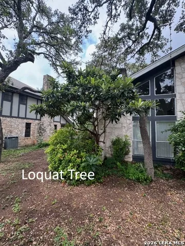 1739 Royal Crescent San Antonio, TX 78231