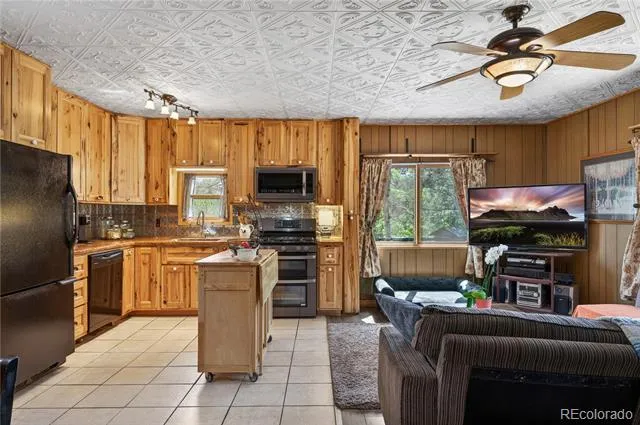 256 Houston Street Bailey, CO 80421