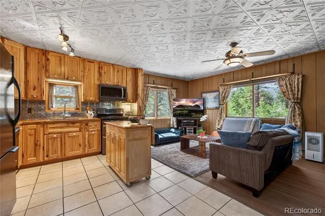 256 Houston Street Bailey, CO 80421
