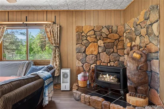 256 Houston Street Bailey, CO 80421