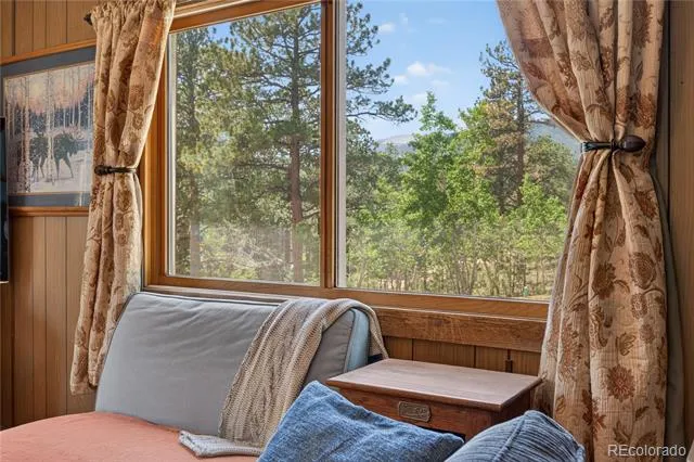 256 Houston Street Bailey, CO 80421