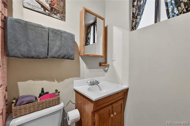 256 Houston Street Bailey, CO 80421