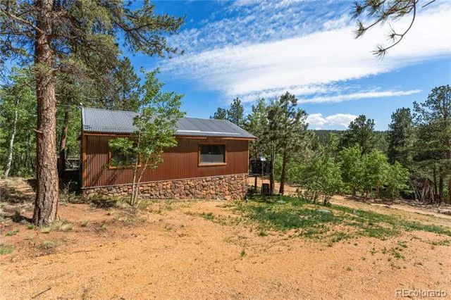 256 Houston Street Bailey, CO 80421