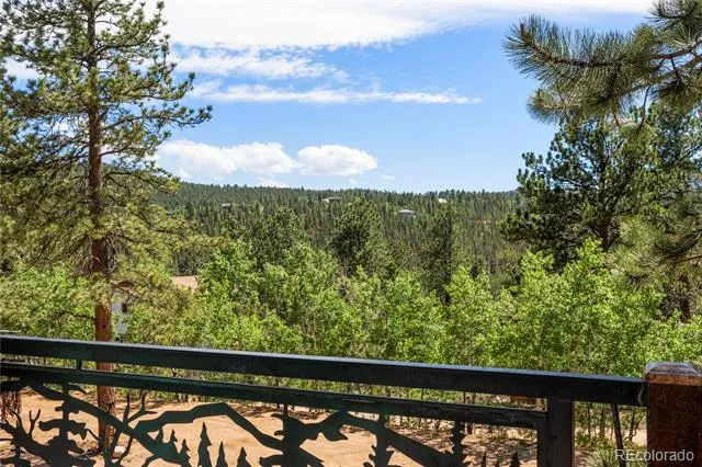 256 Houston Street Bailey, CO 80421