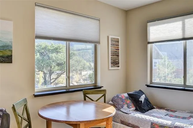 104 River Run Drive Buena Vista, CO 81211