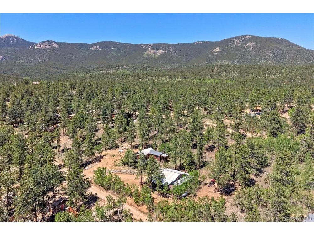 256 Houston Street Bailey, CO 80421
