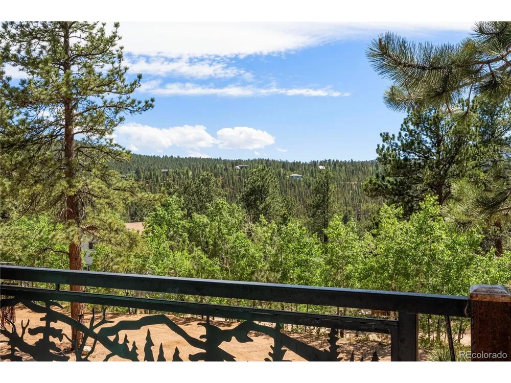 256 Houston Street Bailey, CO 80421