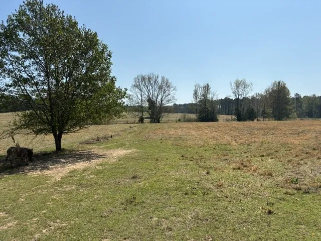 West Cliff Keen Road Minden, LA 71055
