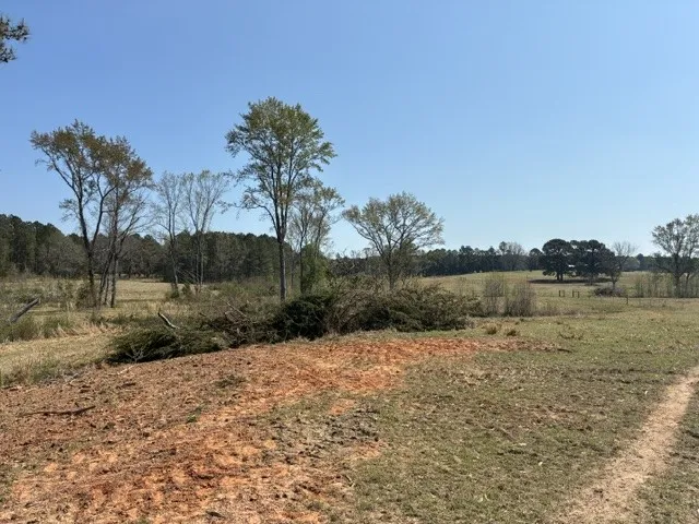 West Cliff Keen Road Minden, LA 71055