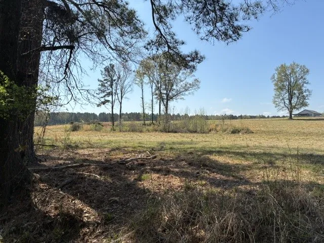 West Cliff Keen Road Minden, LA 71055