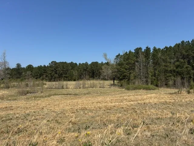 West Cliff Keen Road Minden, LA 71055