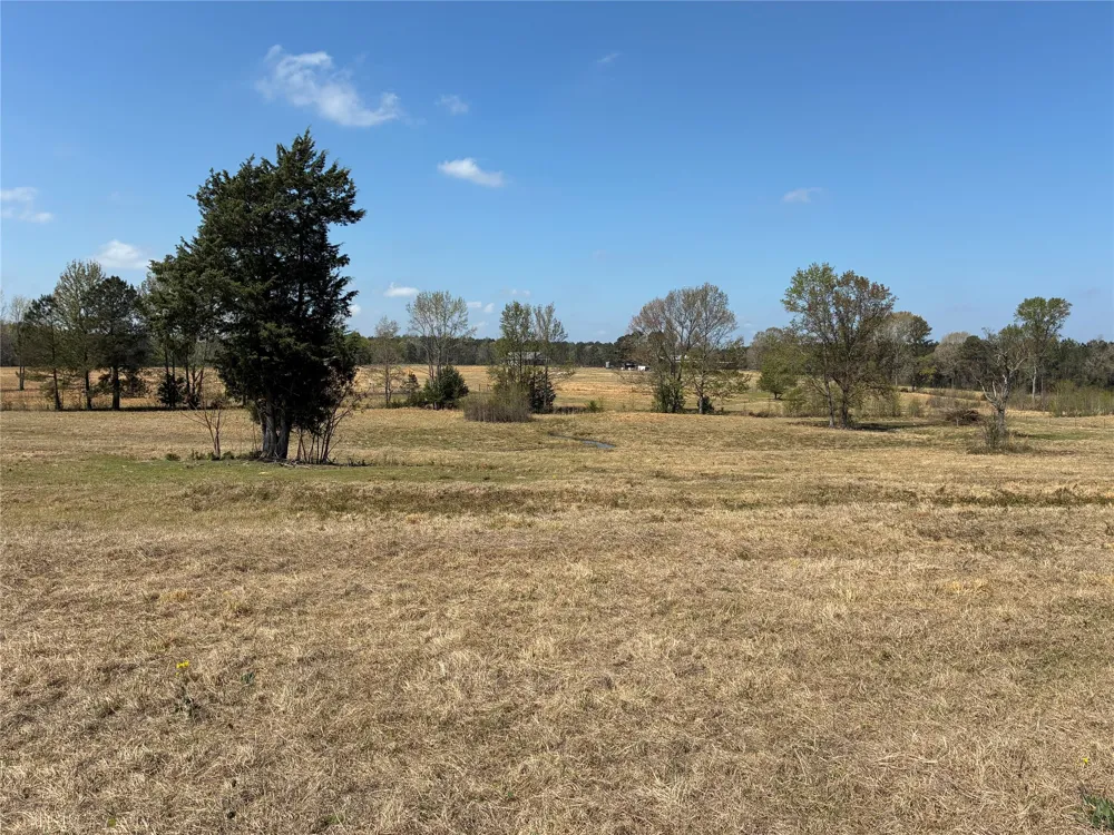 West Cliff Keen Road Minden, LA 71055