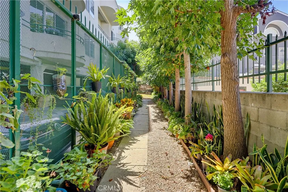 3535 Dunn Drive #201 Los Angeles, CA 90034