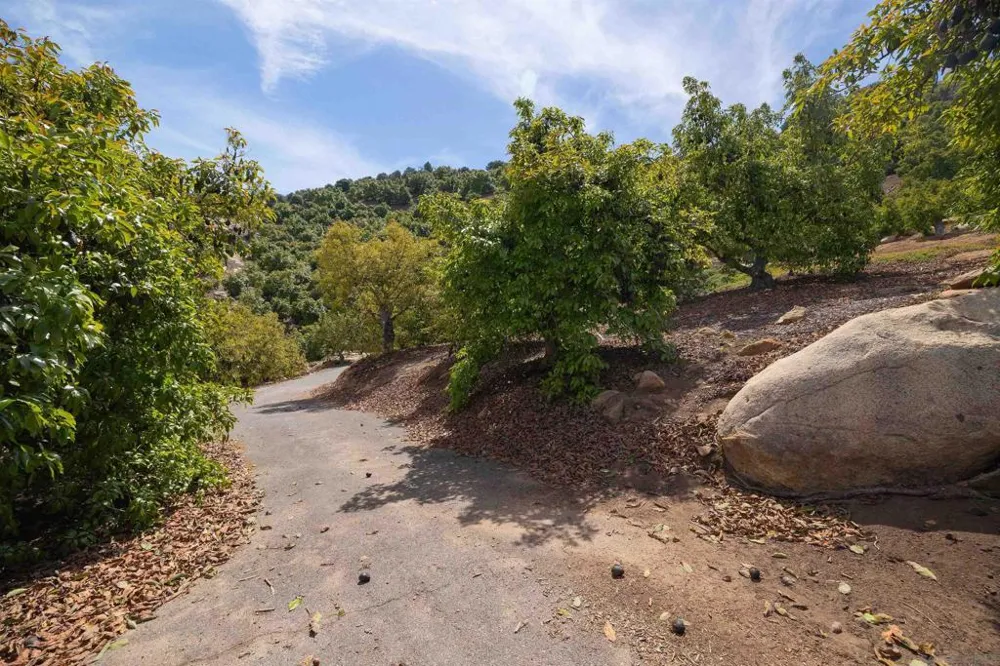 30591 LUIS REY HEIGHTS RD Bonsall, CA 92003