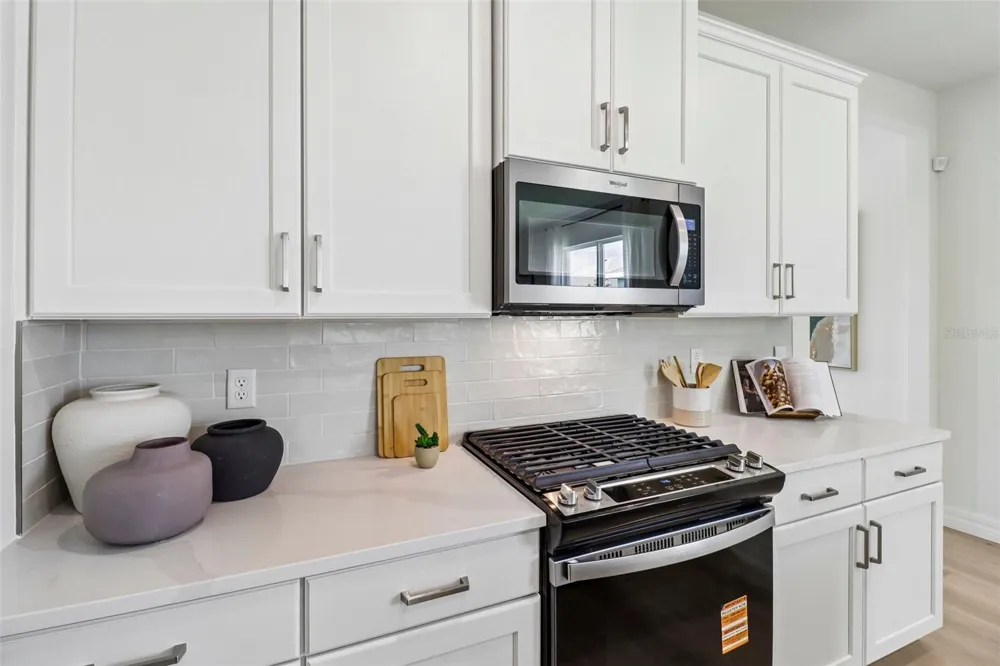 3945 KENNEBUNK LOOP Mount Dora, FL 32757
