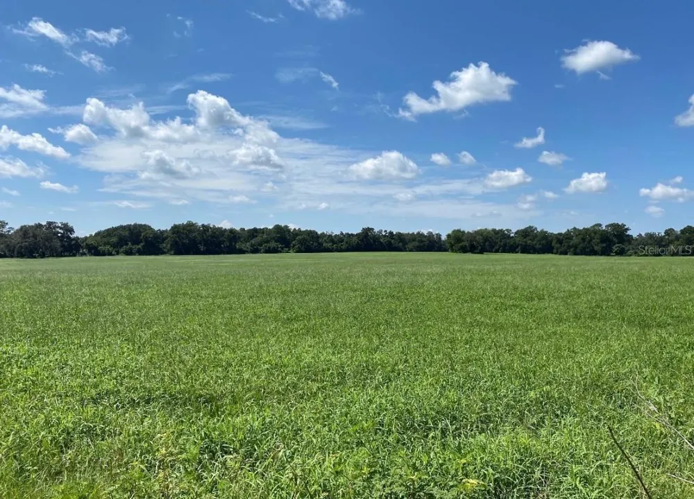 3650 NE 95TH STREET Anthony, FL 32617