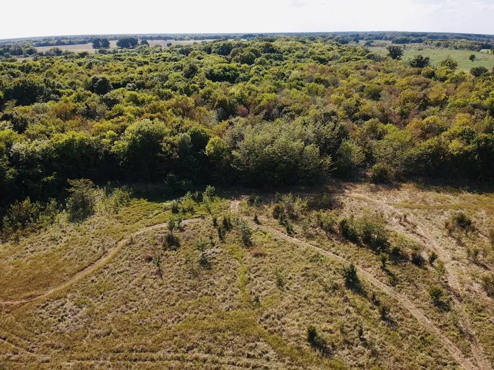 FM 196 Pattonville, TX 75468