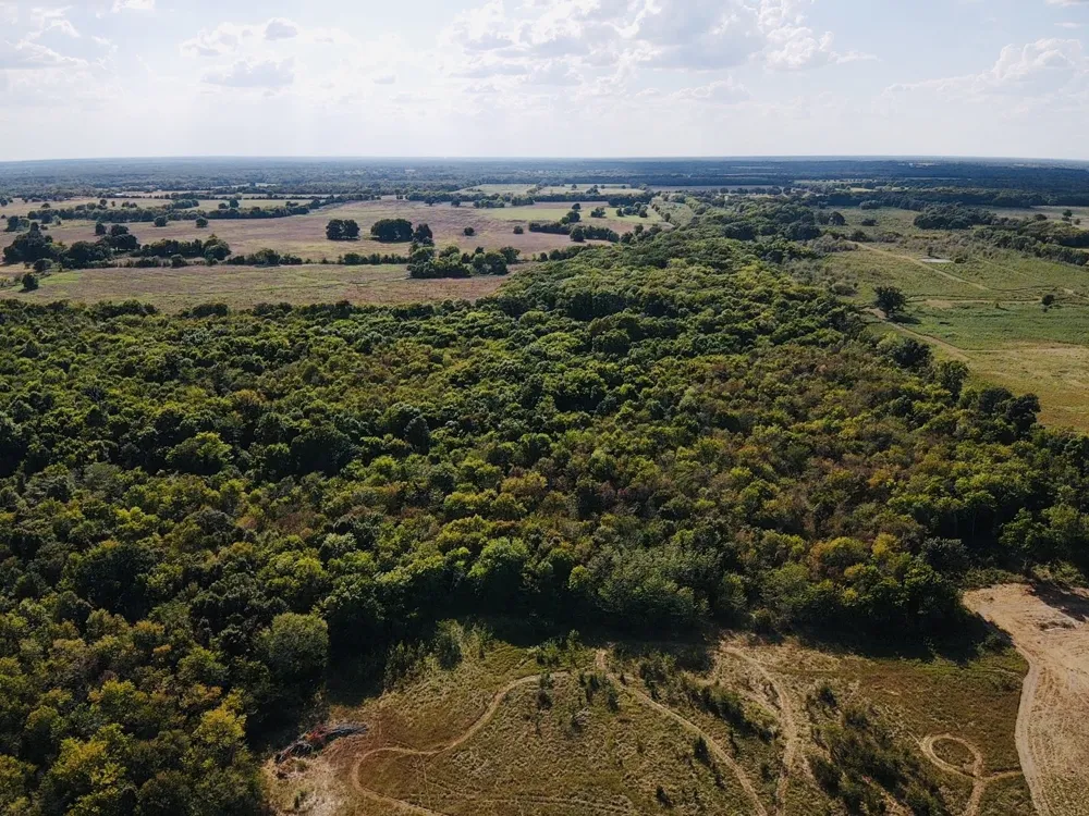 FM 196 Pattonville, TX 75468