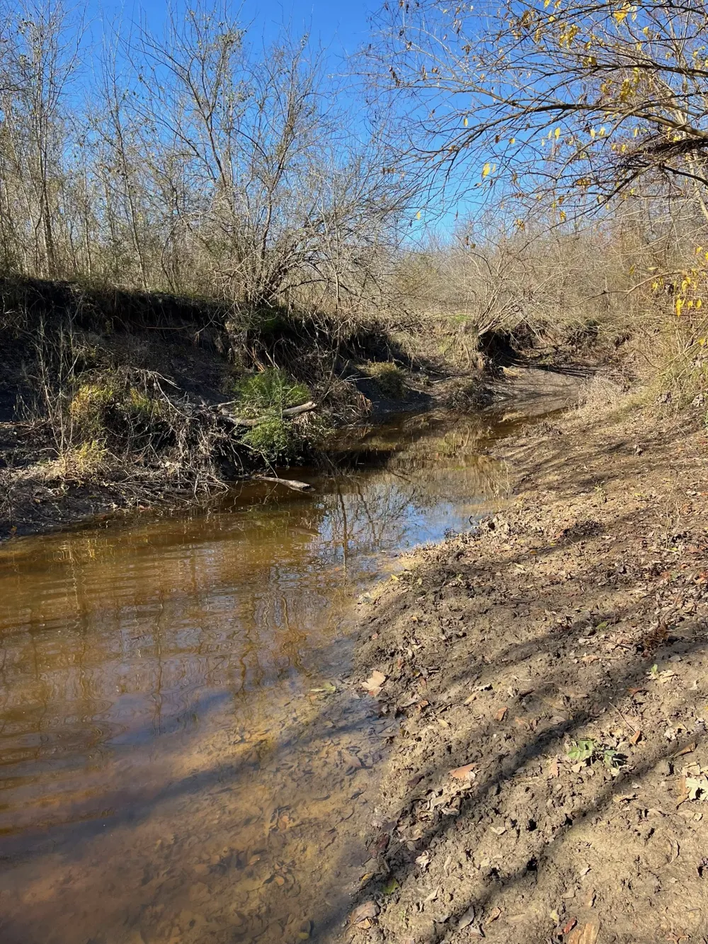 FM 196 Pattonville, TX 75468
