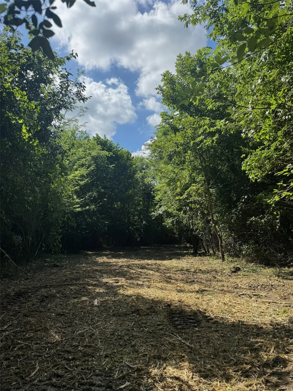 FM 196 Pattonville, TX 75468