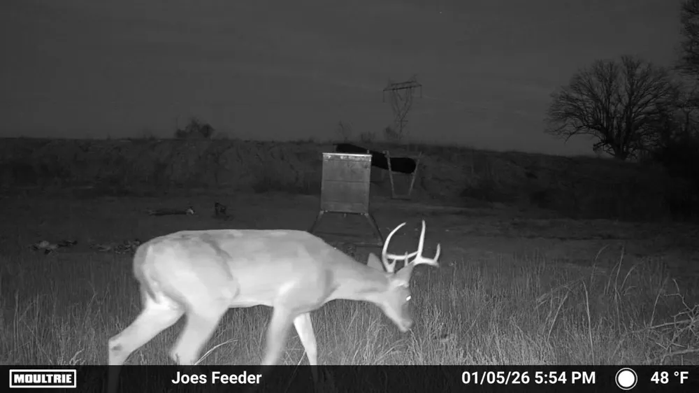 FM 196 Pattonville, TX 75468