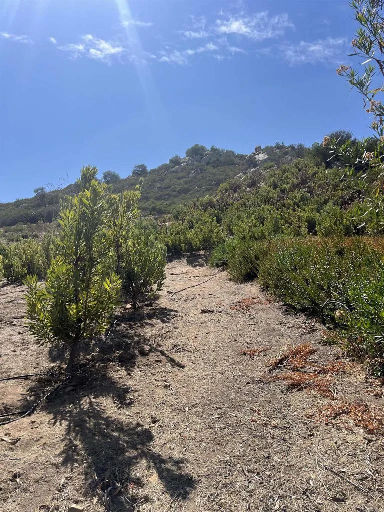 26336 Lake Wohlford Road Valley Center, CA 92082