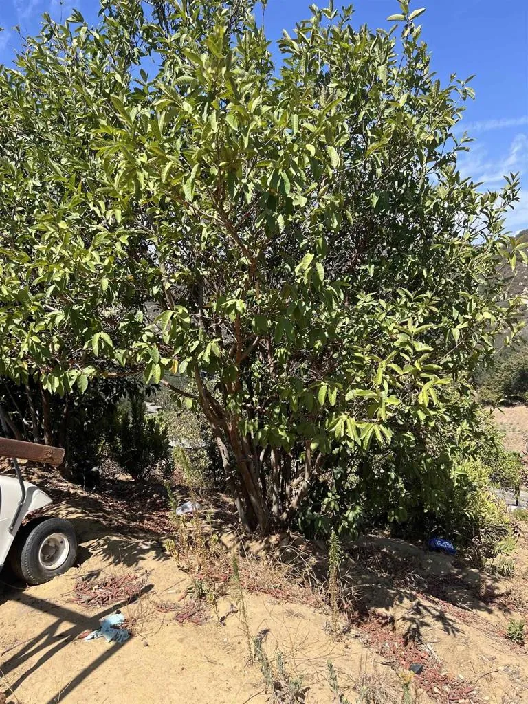 26336 Lake Wohlford Road Valley Center, CA 92082