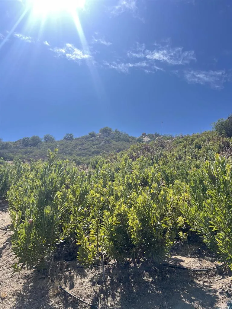 26336 Lake Wohlford Road Valley Center, CA 92082