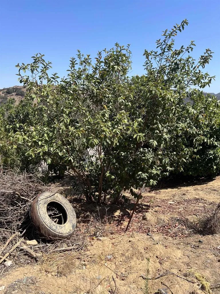 26336 Lake Wohlford Road Valley Center, CA 92082