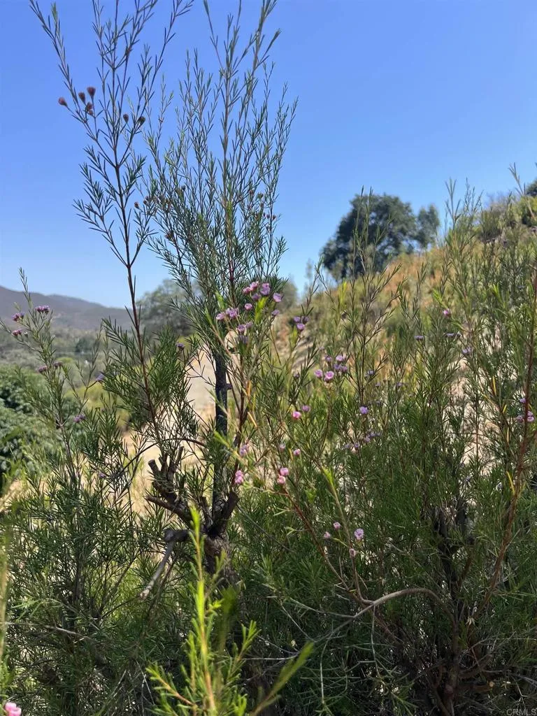 26336 Lake Wohlford Road Valley Center, CA 92082