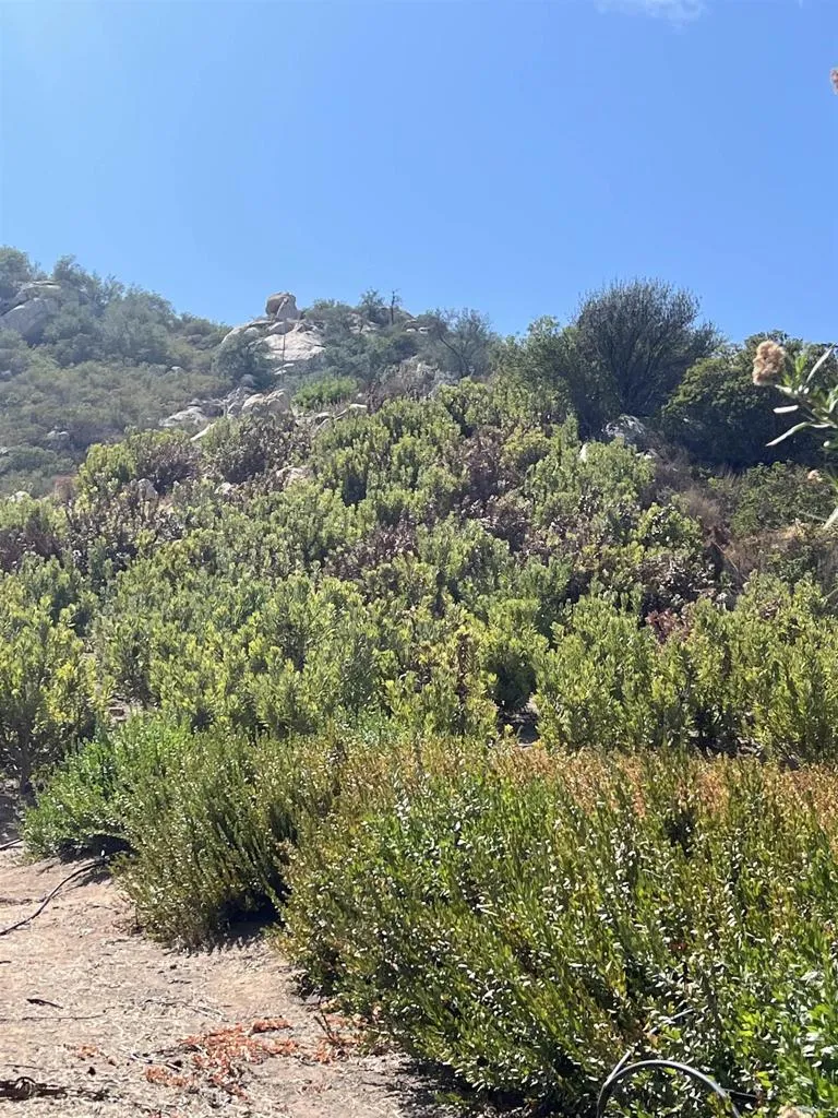 26336 Lake Wohlford Road Valley Center, CA 92082