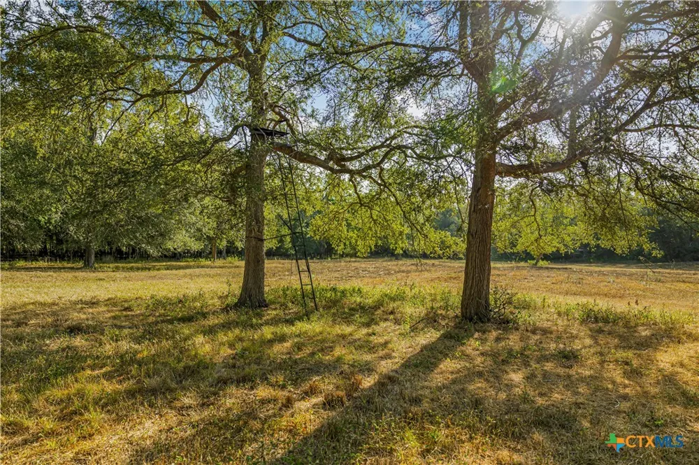 856 Whitley Road Yoakum, TX 77995