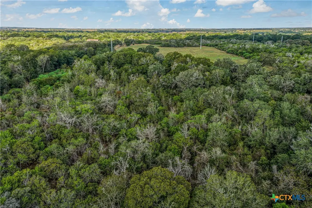 856 Whitley Road Yoakum, TX 77995