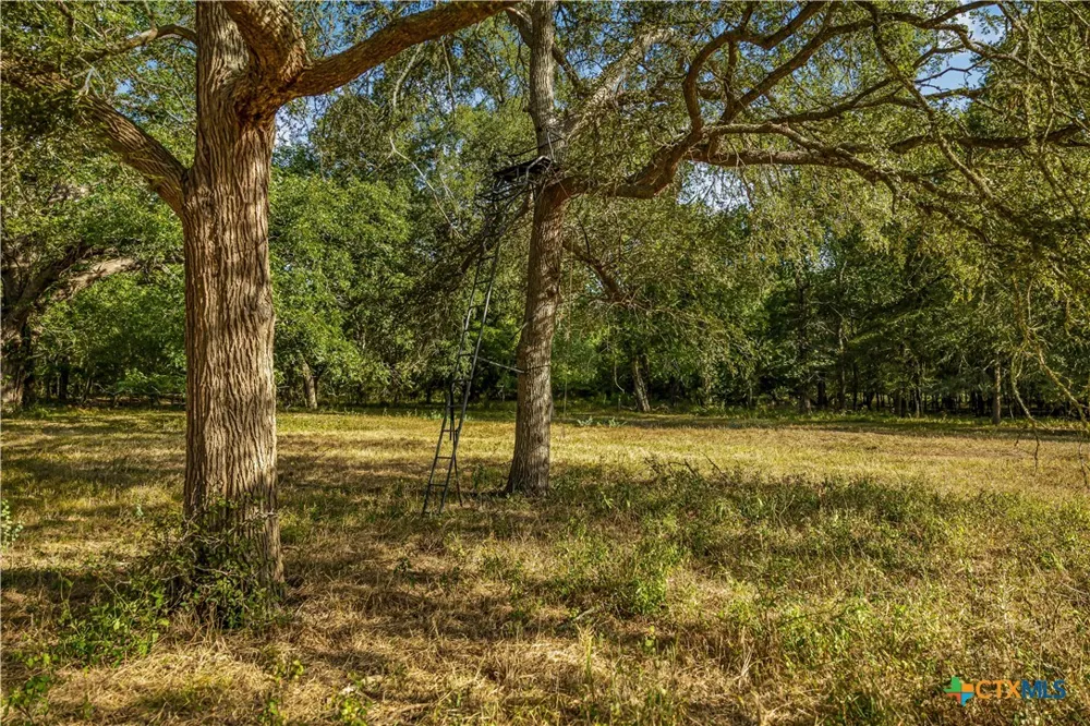 856 Whitley Road Yoakum, TX 77995