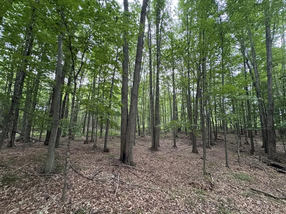 3305 S Coville Road Mikado, MI 48745