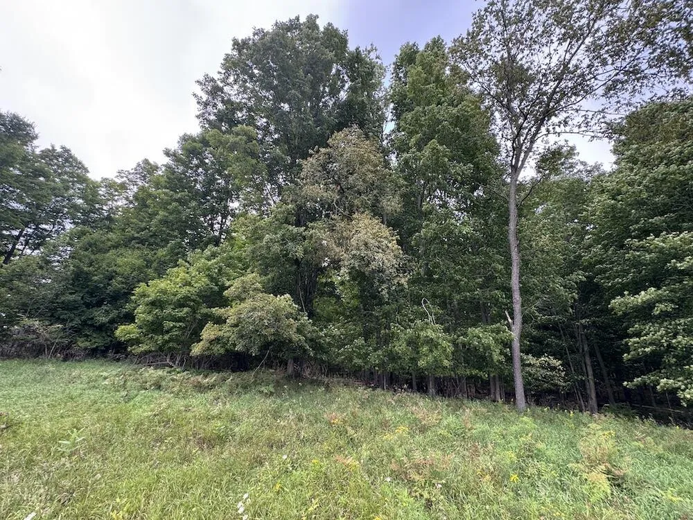 3305 S Coville Road Mikado, MI 48745