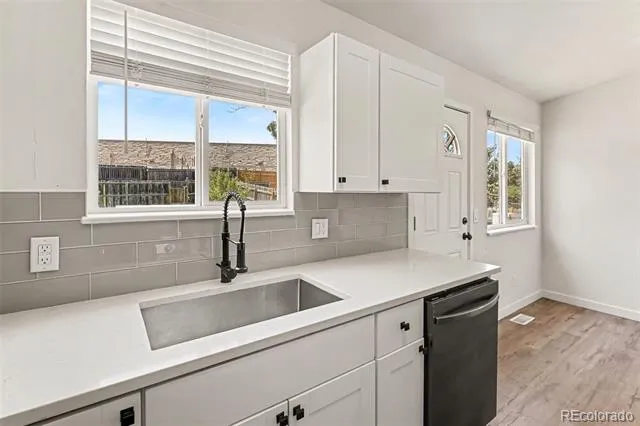 4229 S Pitkin Street Aurora, CO 80013