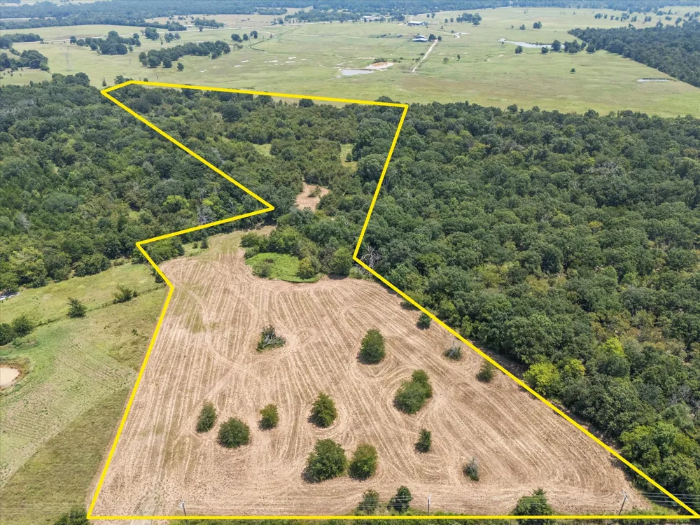 883 FM 1653 Ben Wheeler, TX 75754