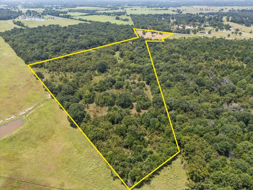 883 FM 1653 Ben Wheeler, TX 75754
