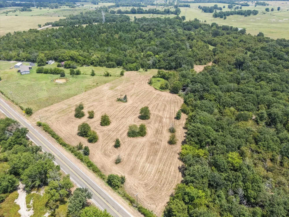 883 FM 1653 Ben Wheeler, TX 75754