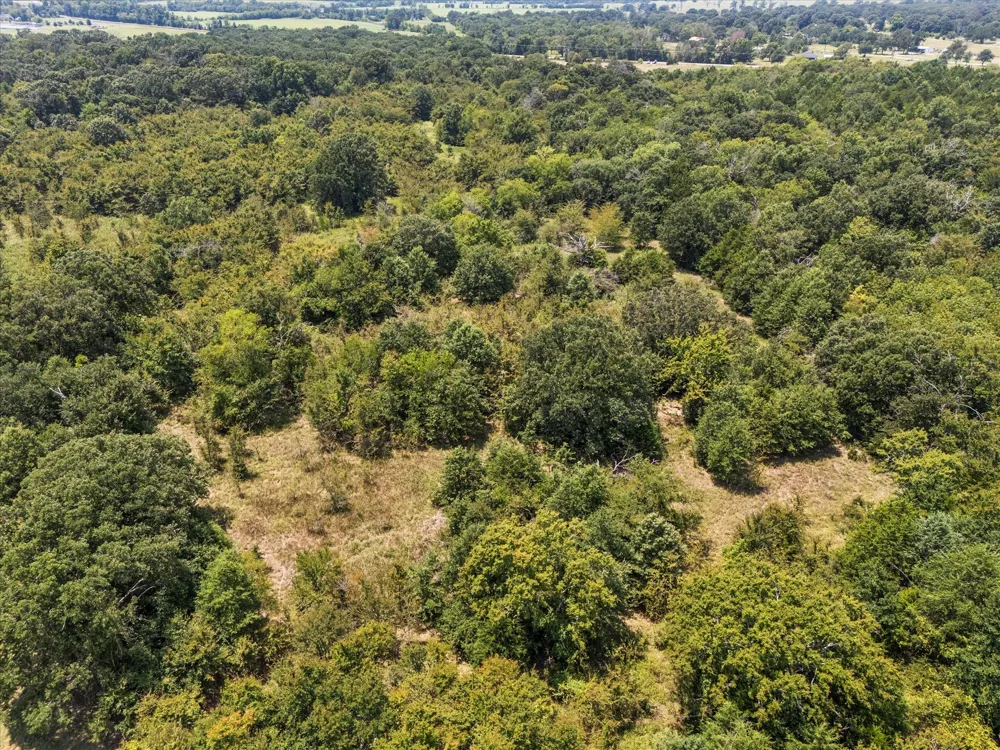 883 FM 1653 Ben Wheeler, TX 75754