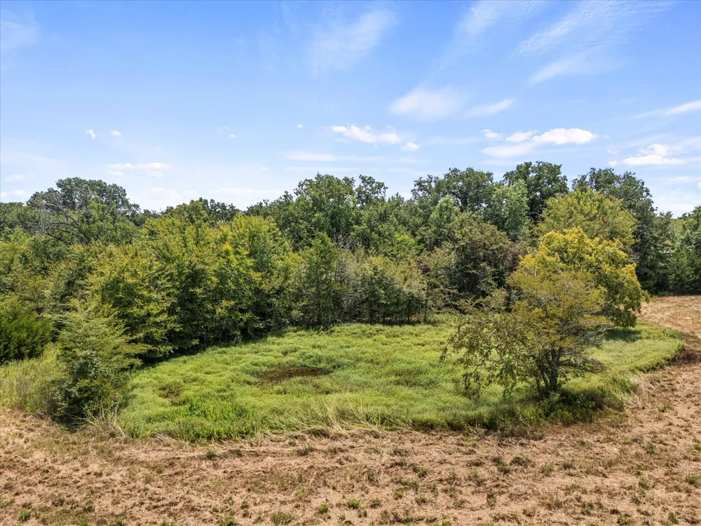 883 FM 1653 Ben Wheeler, TX 75754