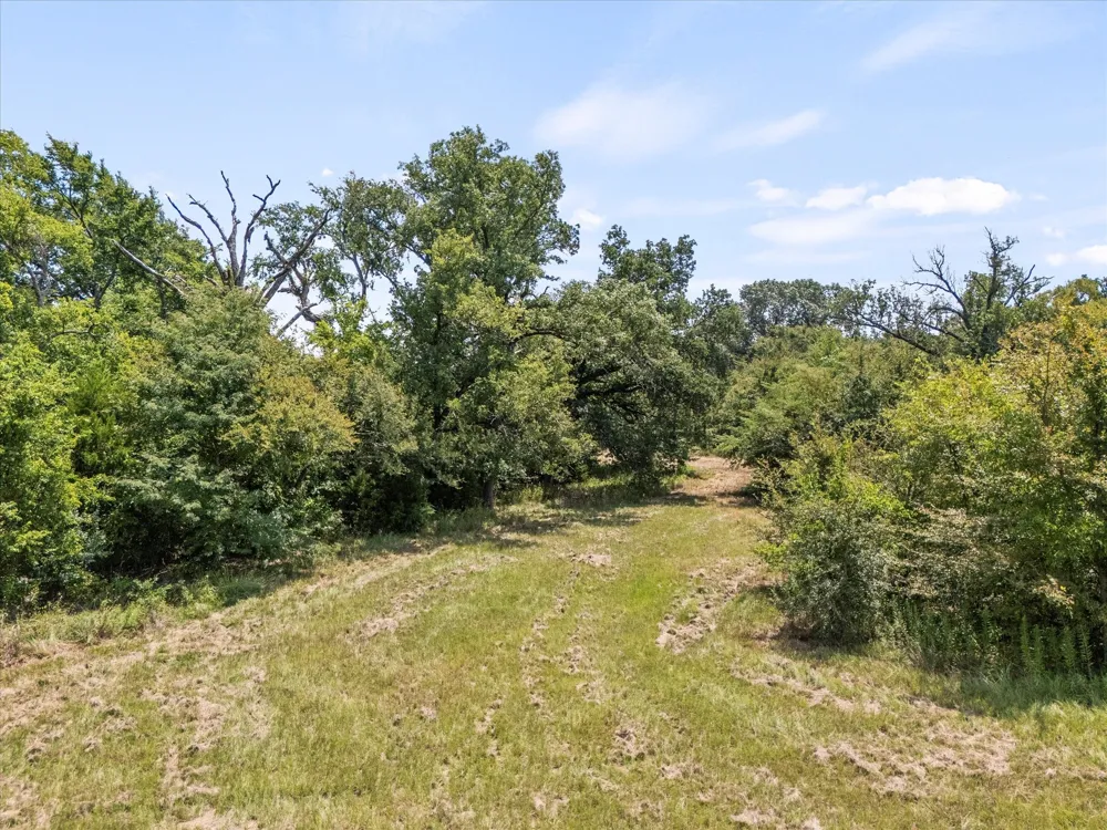 883 FM 1653 Ben Wheeler, TX 75754