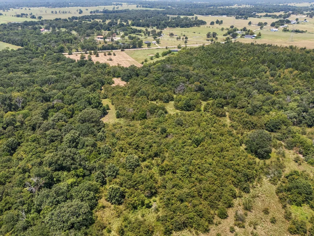 883 FM 1653 Ben Wheeler, TX 75754