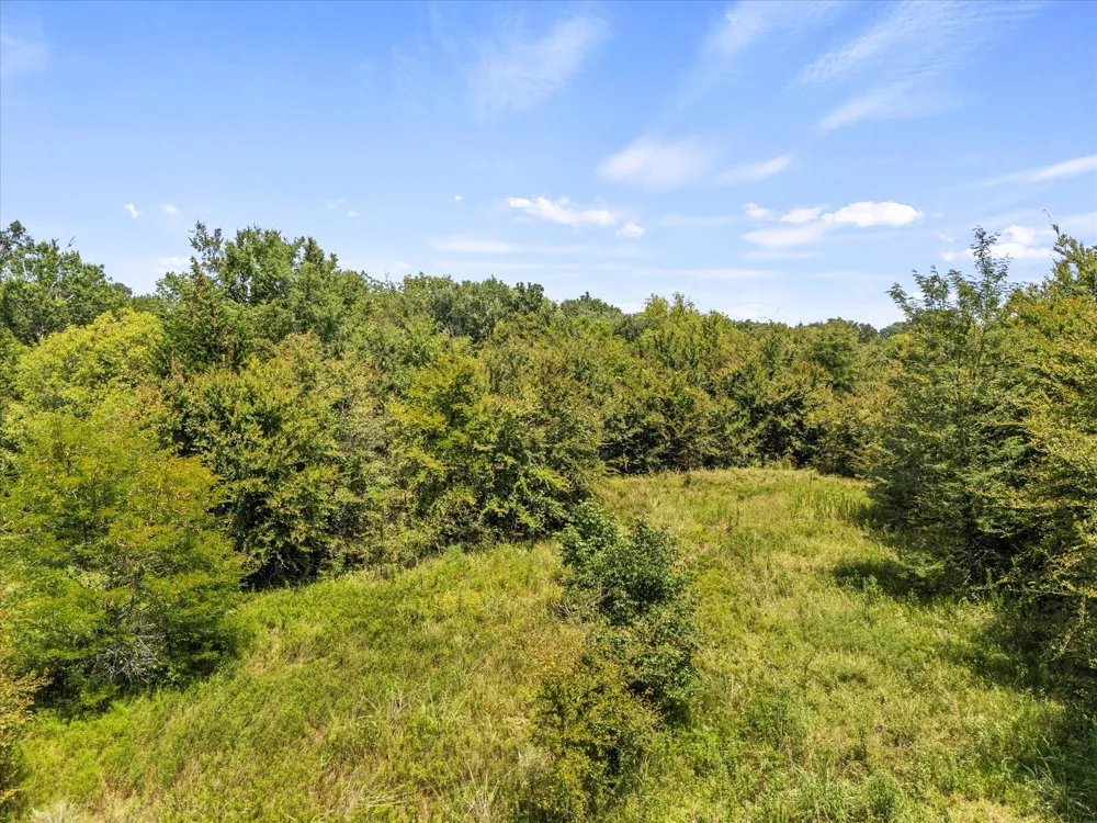 883 FM 1653 Ben Wheeler, TX 75754