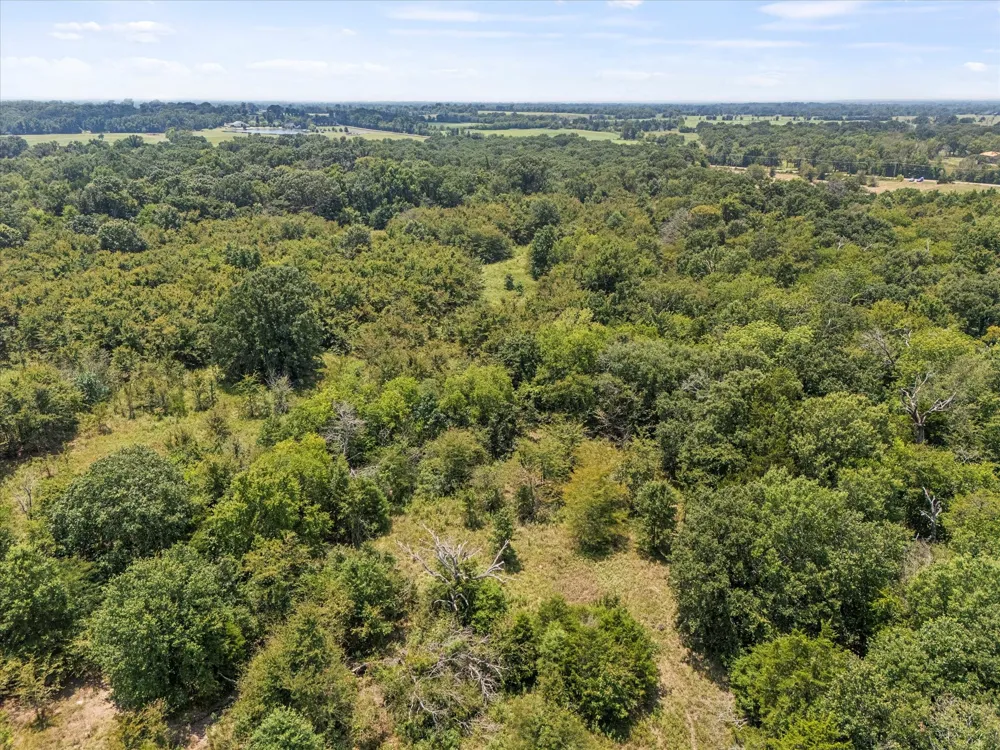 883 FM 1653 Ben Wheeler, TX 75754